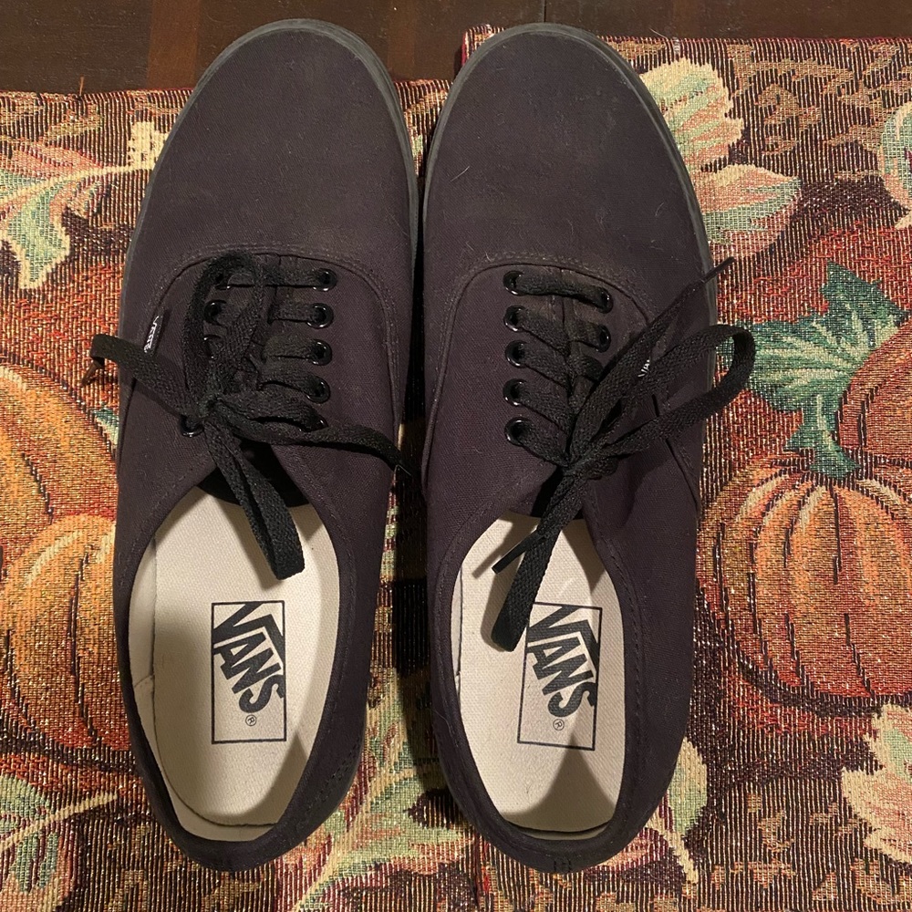 Vans Men’s black authentic shoes,black,Size 10